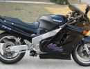 cwiseguy zx1100 left