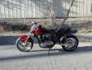 1978 kz900 by sire2