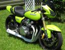 kz 900 mono shock