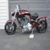 Mr Ed's Avatar
