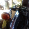 image's Avatar