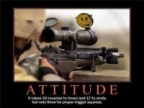 shadow44's Avatar