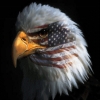 mraaaaaaaaaa's Avatar
