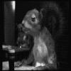 kbex's Avatar