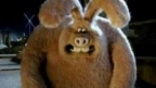 the_Were-Rabbit's Avatar