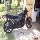 DinoC's Avatar