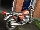 kz750rider's Avatar