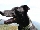 DivideOverflow's Avatar