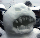 thoraxotool's Avatar