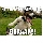 Big Chuck's Avatar