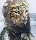 Andy FitzGibbon's Avatar